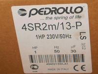 4SR2m/13-P (0,75 кВт QEM 100, 220 В) скважинный насос ''Pedrollo'' 